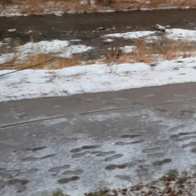 Profile image of 고고프렌즈 대저택