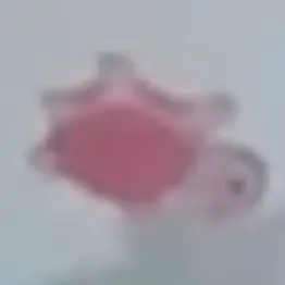 Profile image of 빨강이