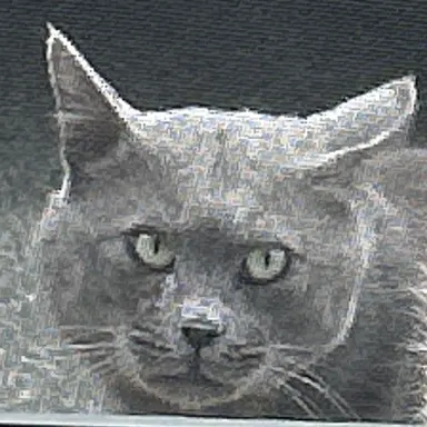 Profile image of はいねこさん