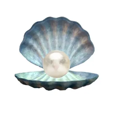 Profile image of 틸