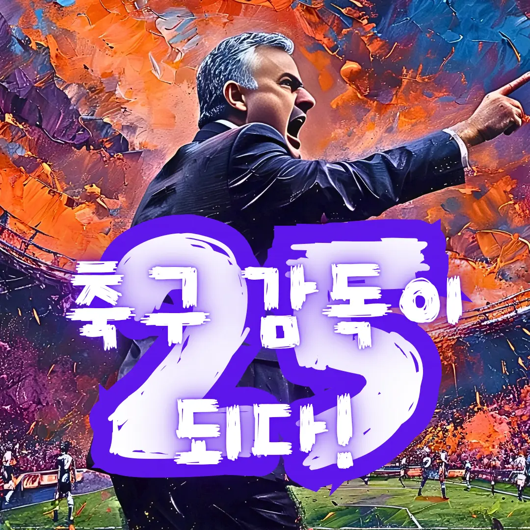 Du11의 축구 감독이 되다 25
