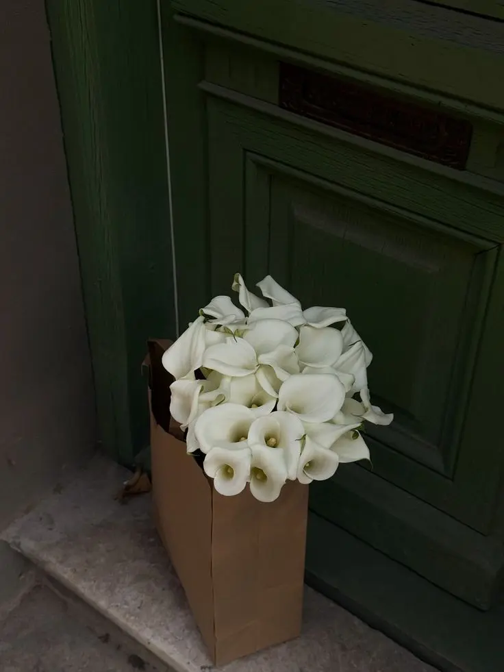 L_giRliM-tYpEe의 아저씨는 내 어디가 그렇게 좋아요?