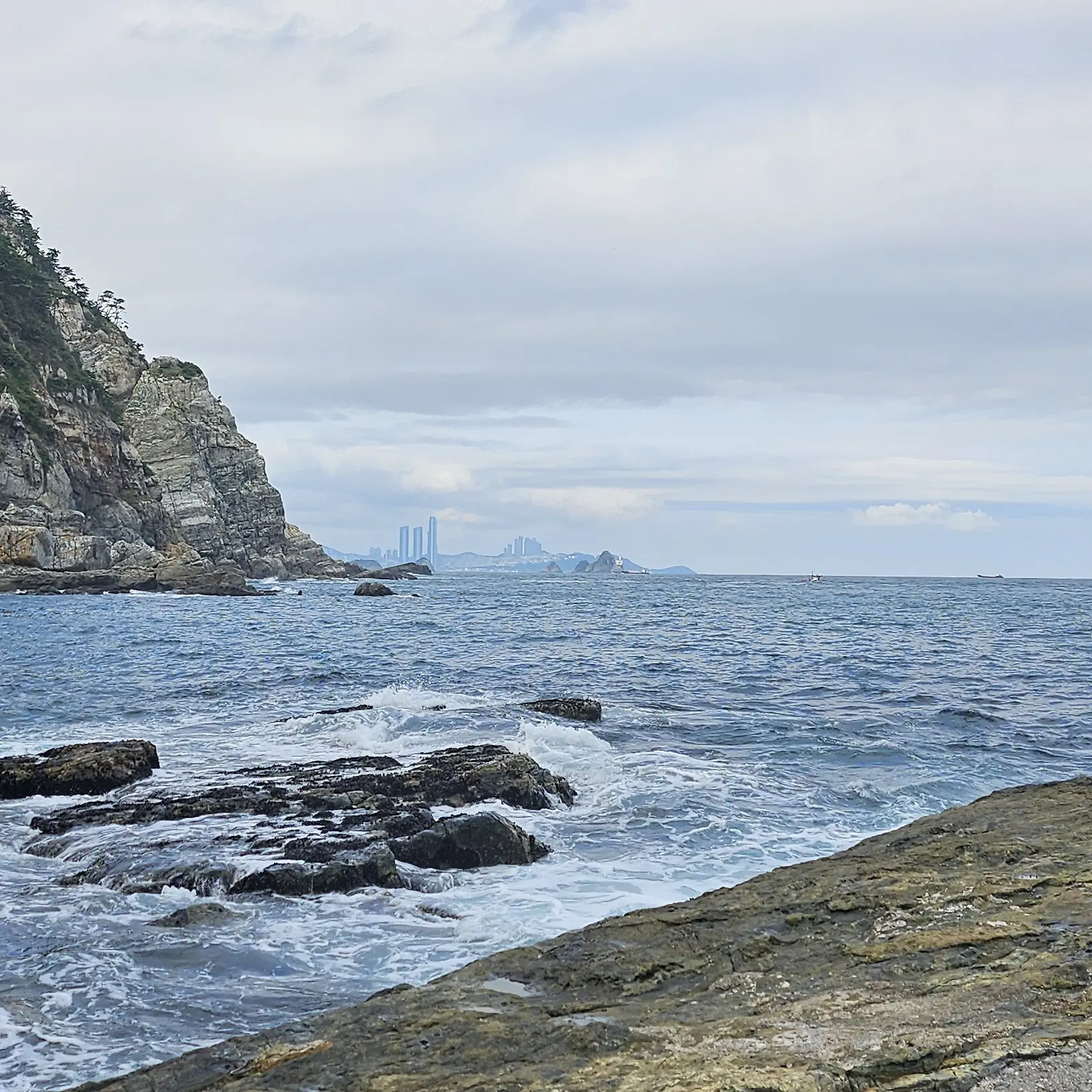 Potato_World의 스코시즘 {고등학교}