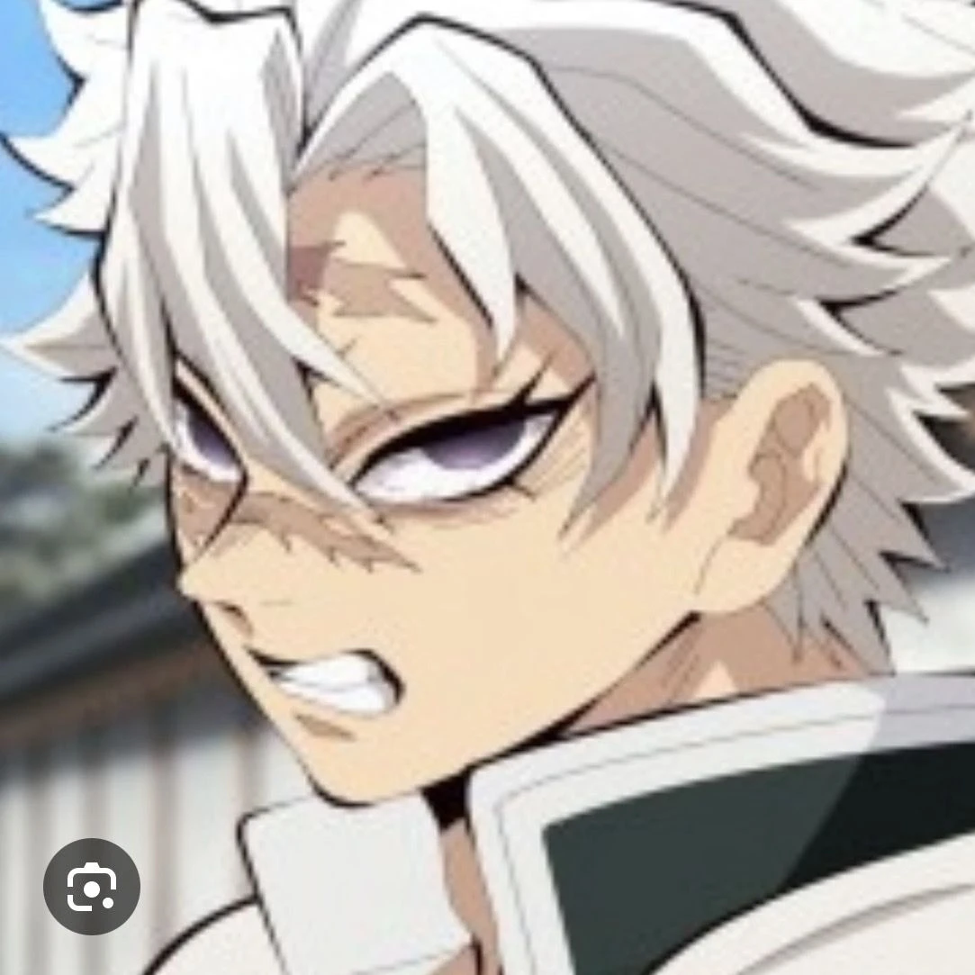 시나즈가와 사네미