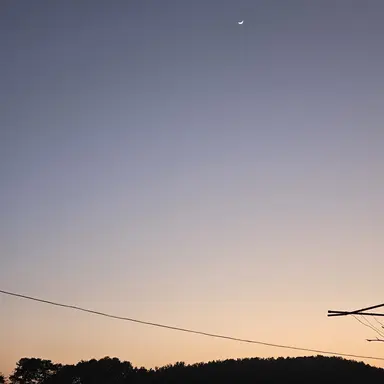 Profile image of 라더