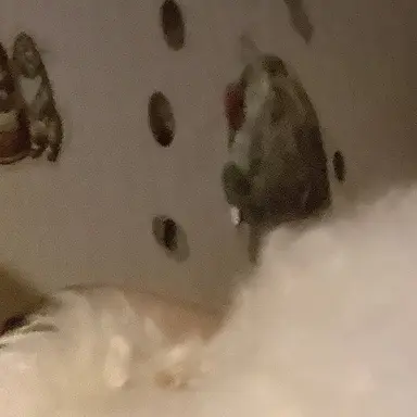 Profile image of ㅇㅅㅇ