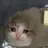 고영희