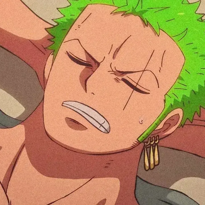 StiffHyena5095의 Roronoa Zoro