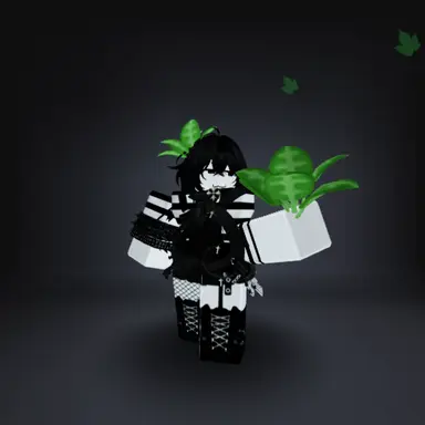 Profile image of 다오