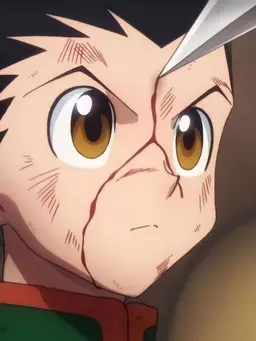 Profile image of Gon Freecss