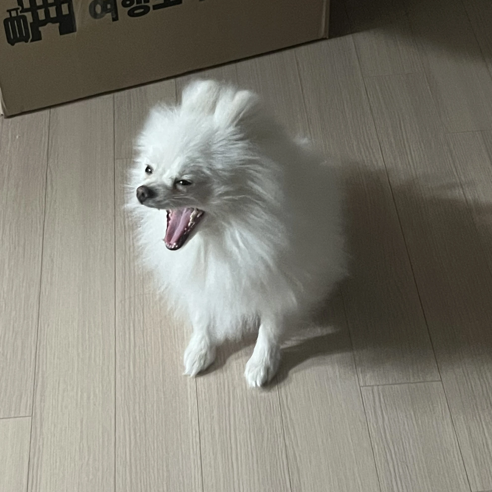 구름이