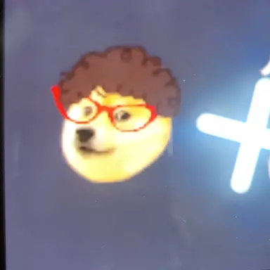 Profile image of 시바