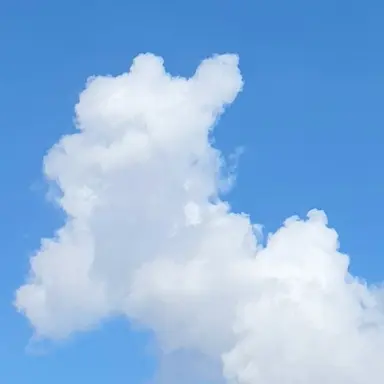 Profile image of 하유