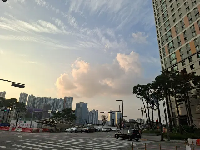 Profile image of 노카