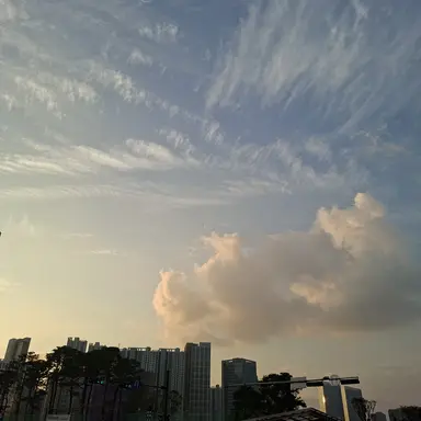 Profile image of 노카