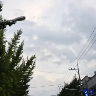 Profile image of 리온