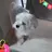 메이블