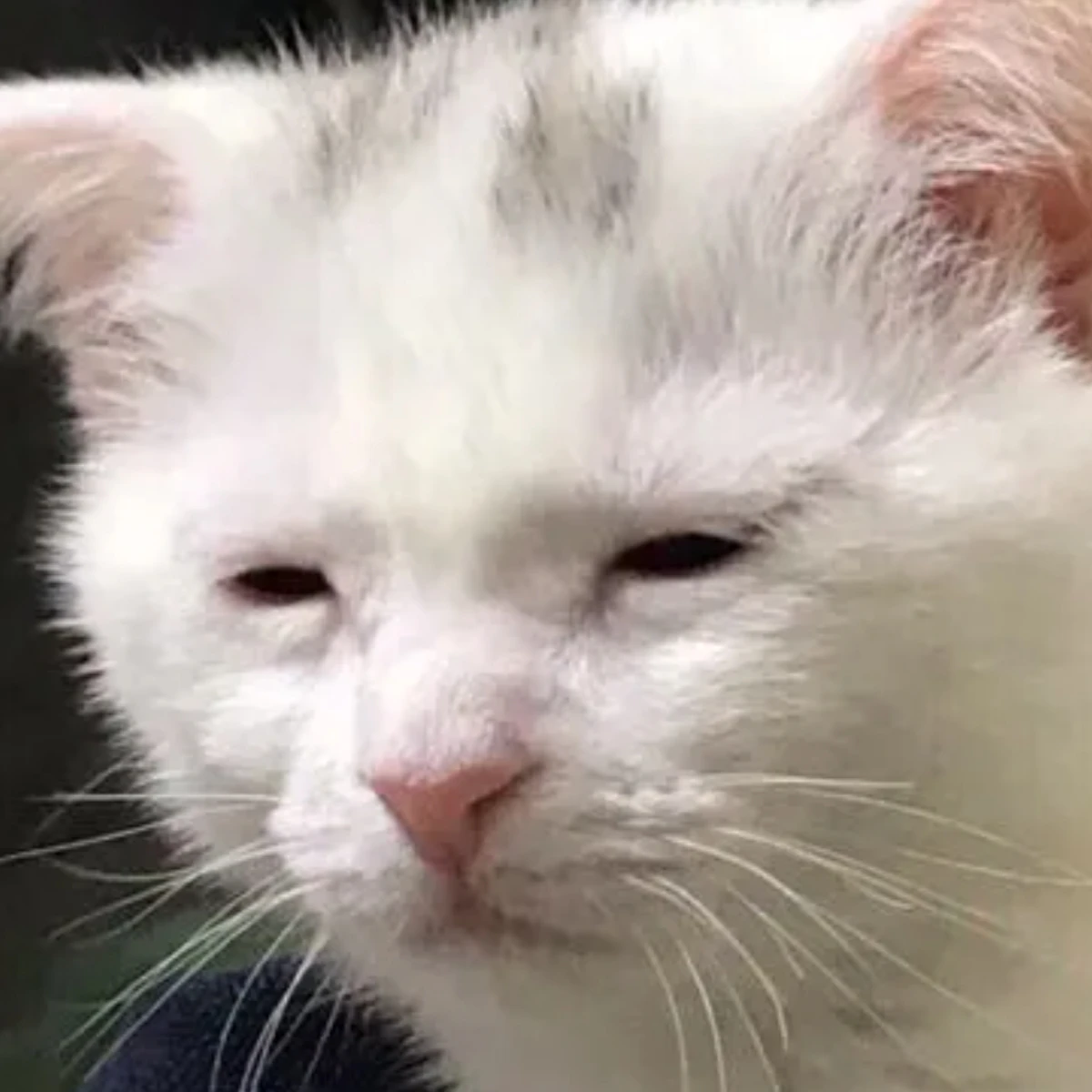 인천