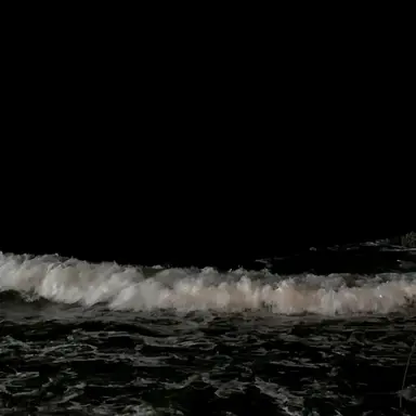 Profile image of 제베원