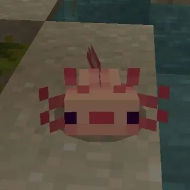Profile image of 아이돌과 배우들