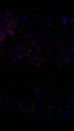 Profile image of Gratmoon