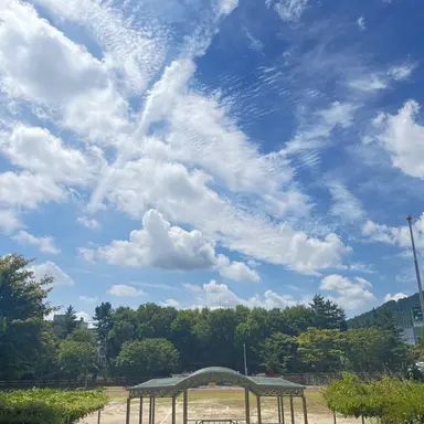 Profile image of 여우