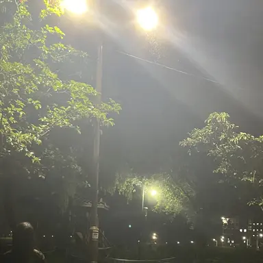 Profile image of 여상