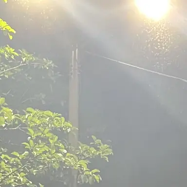 Profile image of 우영