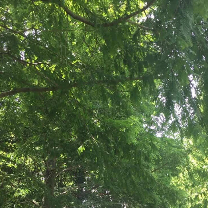 윤상철