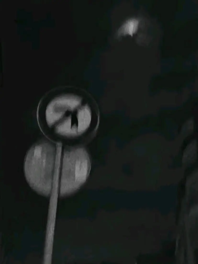 Mt_000의 猛獣使い .