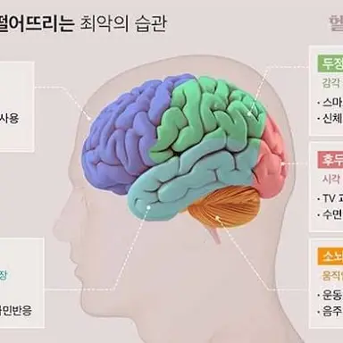 Profile image of 뇌