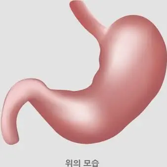 Profile image of 위