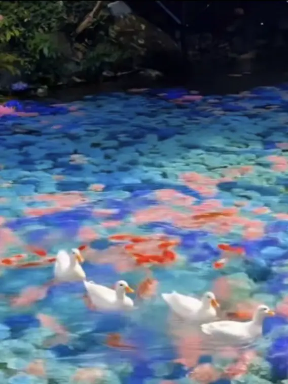 FestalDeath6301의 生徒限定の噂の先輩🤔