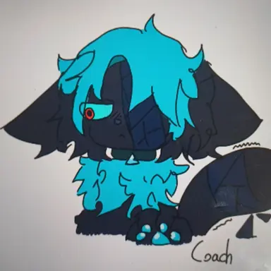 Profile image of 코치