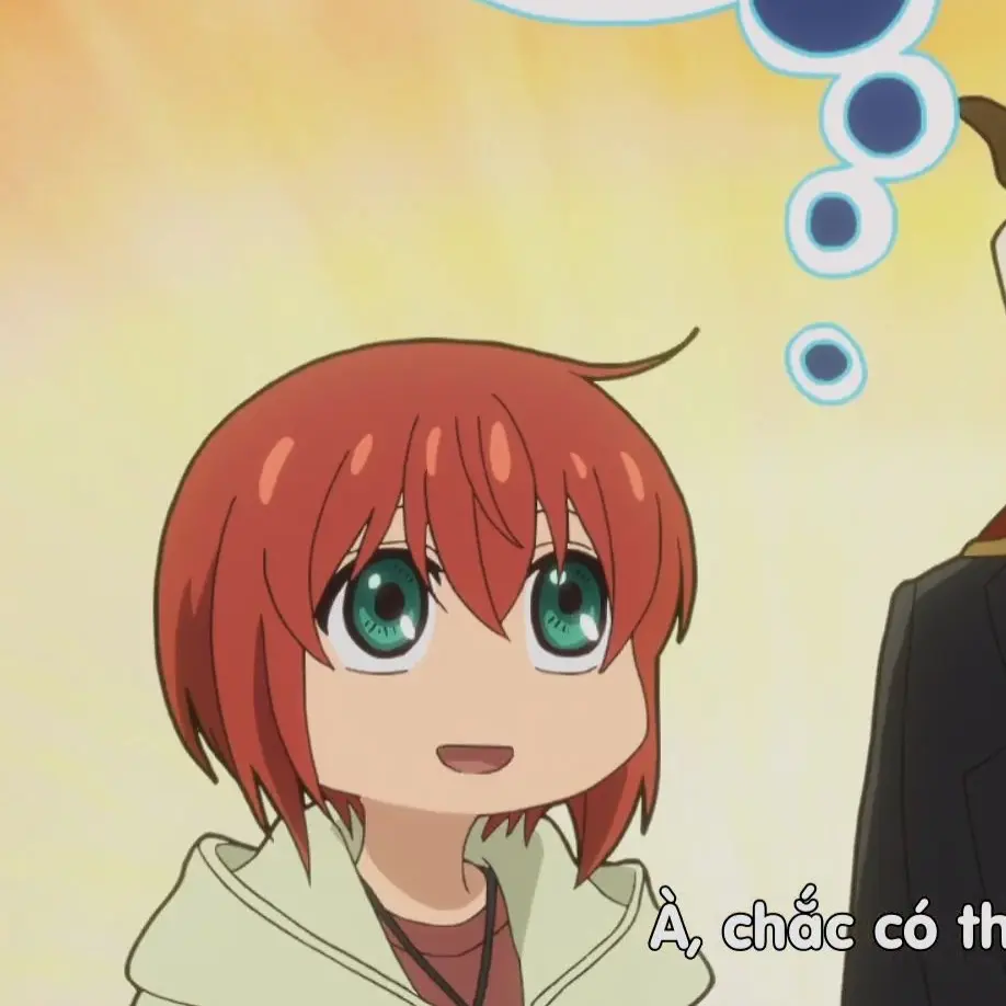VagueTrail4900의 The ancient magus bride