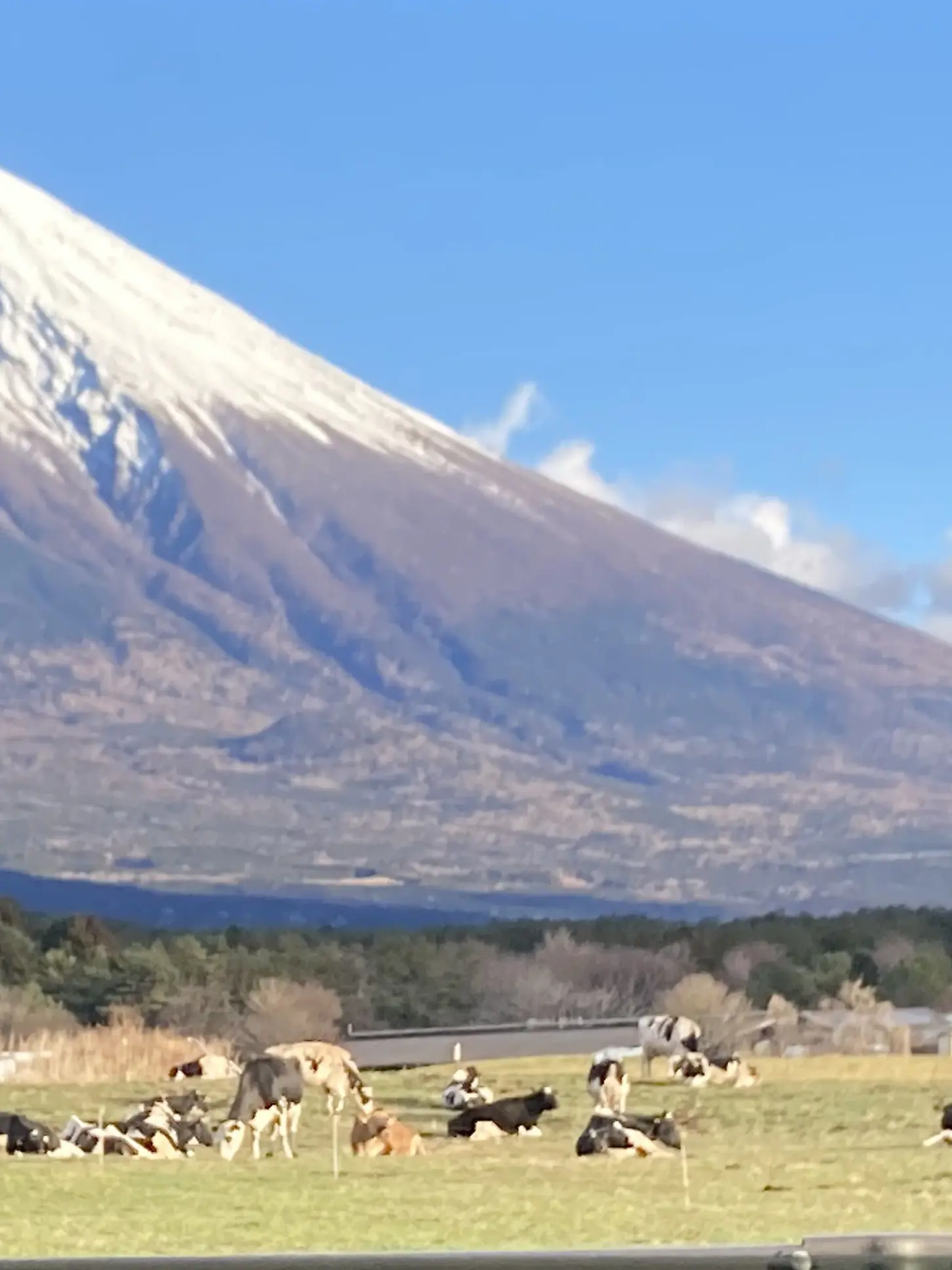 GuiltyPeas9652의 記憶喪失の貴方