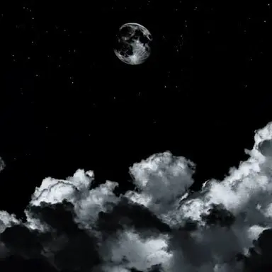 Profile image of 目黒 蓮