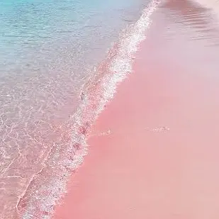 Profile image of 佐久間 大介