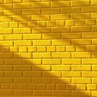 Profile image of 岩本 照