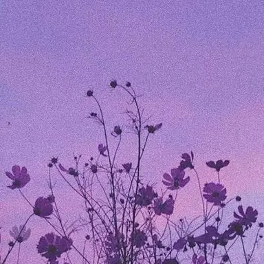 Profile image of 深澤 辰哉