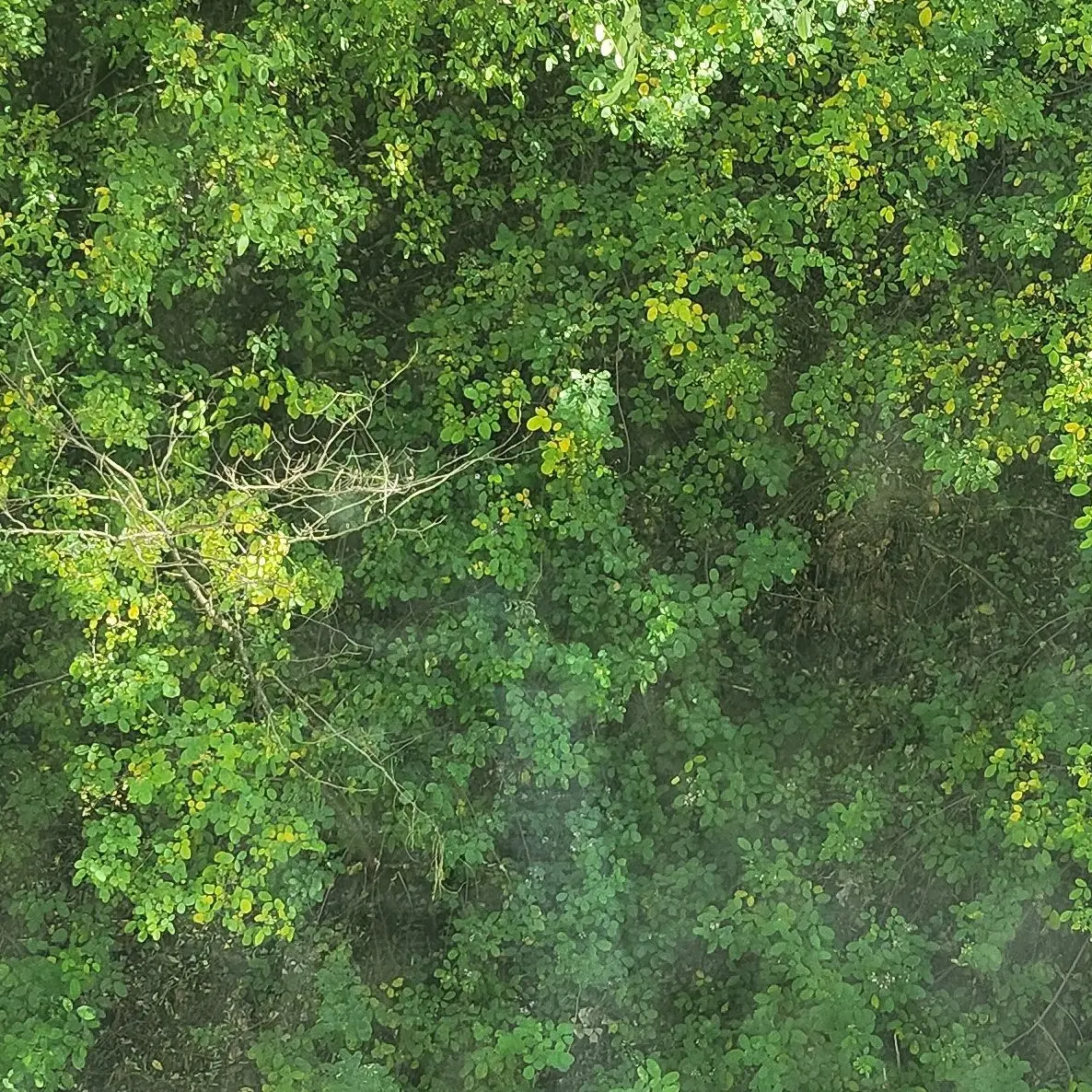 2haeul0209의 강영현