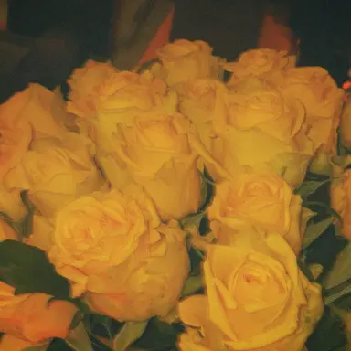 Profile image of 太宰 治