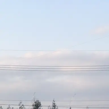 Profile image of 박슈향