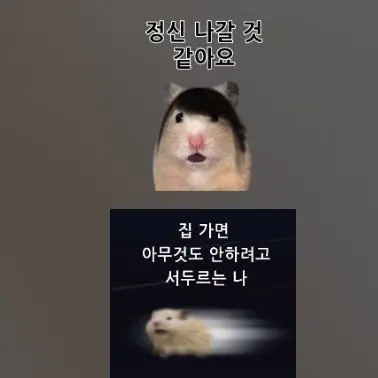 Profile image of 여우