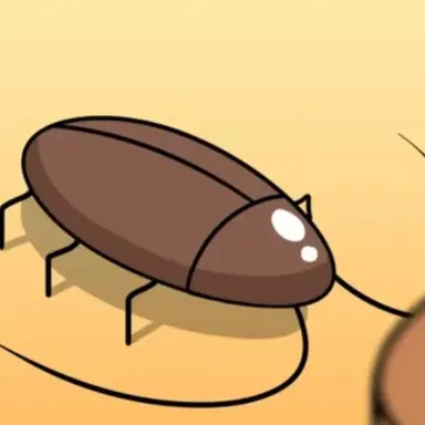 Profile image of 바선생