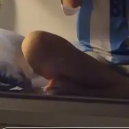 DampCrane2626의 ㅈㅈㄱㄱㅁㅁㄴㄴ