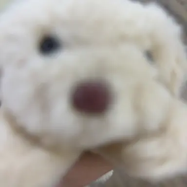 Profile image of 안새벽