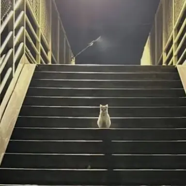 Profile image of 최세빈