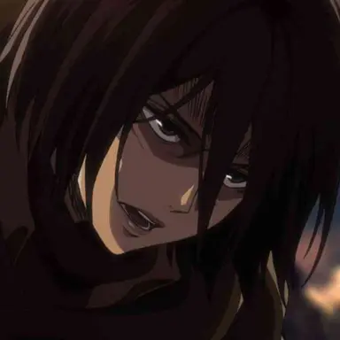 Profile image of ミカサ