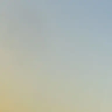 Profile image of りょうか